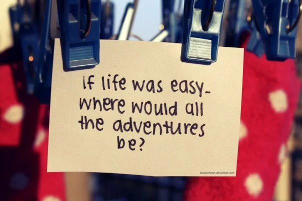 a_roller_coaster_ride_by_plastickheart-d3f3235